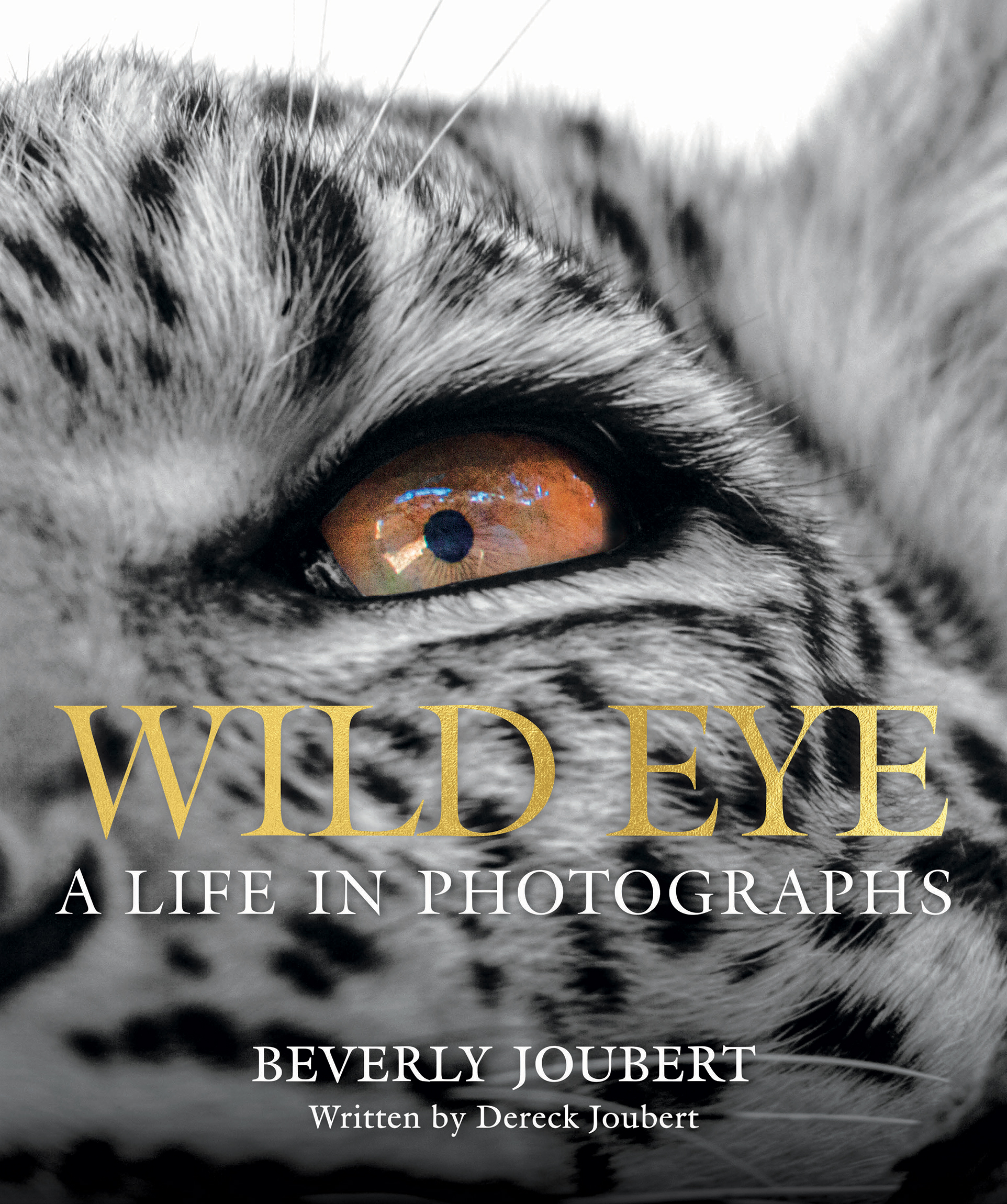 d-and-b-explorer-collection-WildEye-Cover